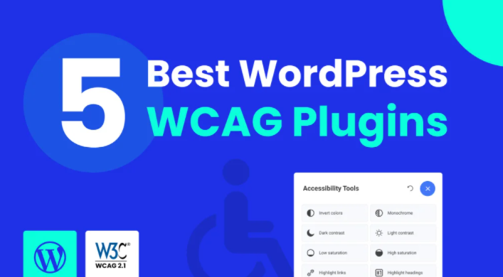 WordPress WCAG Plugins