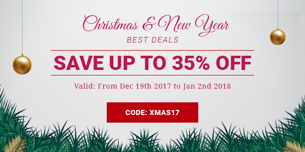 christmas new year sale